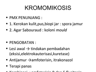 KROMOMIKOSIS
• PMX PENUNJANG :
• 1. Kerokan kulit,pus,biopi jar : spora jamur
• 2. Agar Sabouraud : koloni mould
• PENGOBATAN :
• Lesi awal → tindakan pembadahan
(eksisi,elektrokauterisasi,kuretase)
• Antijamur →amfoterisin, itrakonazol
• Terapi panas
 