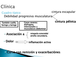 Clínicacintura escapularCuadro típico:Debilidad progresiva musculaturacintura pélvicaTambién cuello, faringe y laringeCasos severos: diafragma, intercostales y musculatura abdominalmiopatía esteroidalatrofia secundaria.  Asociación a