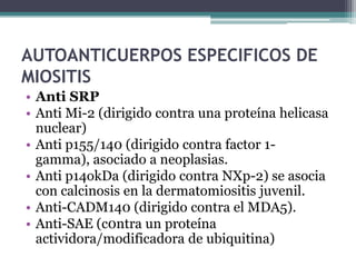 AUTOANTICUERPOS ESPECIFICOS DE
MIOSITIS
• Anti SRP
• Anti Mi-2 (dirigido contra una proteína helicasa
  nuclear)
• Anti p155/140 (dirigido contra factor 1-
  gamma), asociado a neoplasias.
• Anti p14okDa (dirigido contra NXp-2) se asocia
  con calcinosis en la dermatomiositis juvenil.
• Anti-CADM140 (dirigido contra el MDA5).
• Anti-SAE (c0ntra un proteína
  actividora/modificadora de ubiquitina)
 