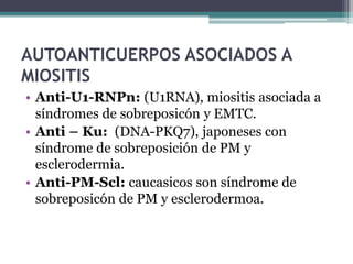 AUTOANTICUERPOS ASOCIADOS A
MIOSITIS
• Anti-U1-RNPn: (U1RNA), miositis asociada a
  síndromes de sobreposicón y EMTC.
• Anti – Ku: (DNA-PKQ7), japoneses con
  síndrome de sobreposición de PM y
  esclerodermia.
• Anti-PM-Scl: caucasicos son síndrome de
  sobreposicón de PM y esclerodermoa.
 