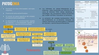 ● Asociación con otras enfermedades o del tejido
conjuntivo.
● Presencia de varios autoanticuerpos.
● Un vínculo con genes especíﬁcos del complejo
principal de histocompatibilidad.
● La demostración de miocitotoxicidad regulada
por linfocitos T o microangiopatía regulada por
complemento y reacción a la inmunoterapia.
PATOGENIA
● Los inﬁltrados de células inﬂamatorias en el
endomisio están constituidos por linfocitos B muy
cerca de linfocitos TCD4, células dendríticas y
macrófagos; hay una ausencia relativa de linfocitos
que invadan las ﬁbras musculares no necróticas.
● La activación del complejo membranolítico C5b-9
del complemento es un elemento temprano de
máxima importancia que desencadena la liberación
de citocinas y quimiocinas proinﬂamatorias.
Polimiositis
 