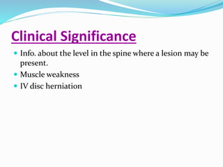 Clinical Significance
 Info. about the level in the spine where a lesion may be
present.
 Muscle weakness
 IV disc herniation
 