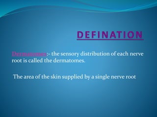 Dermatomes:- the sensory distribution of each nerve
root is called the dermatomes.
The area of the skin supplied by a single nerve root
 