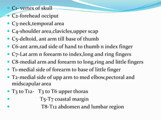  C1- vertex of skull
 C2-forehead occiput
 C3-neck,temporal area
 C4-shoulder area,clavicles,upper scap
 C5-deltoid, ant arm till base of thumb
 C6-ant arm,rad side of hand to thumb n index finger
 C7-Lat arm n forearm to index,long and ring fingers
 C8-medial arm and forearm to long,ring and little fingers
 T1-medial side of forearm to base of little finger
 T2-medial side of upp arm to med elbow,pectoral and
midscapular area
 T3 to T12- T3 to T6 upper thorax
 T5-T7 coastal margin
 T8-T12 abdomen and lumbar region
 