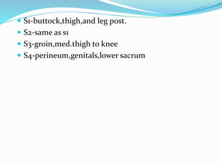  S1-buttock,thigh,and leg post.
 S2-same as s1
 S3-groin,med.thigh to knee
 S4-perineum,genitals,lower sacrum
 