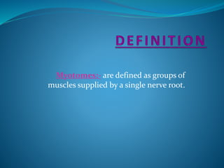 Myotomes:- are defined as groups of
muscles supplied by a single nerve root.
 