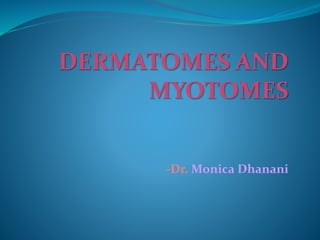 DERMATOMES AND
MYOTOMES
-Dr. Monica Dhanani
 