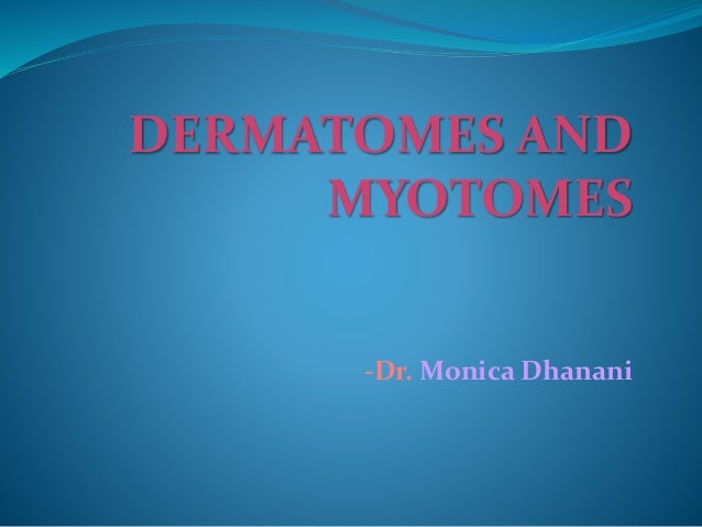 Dermatomes And Myotomes Chart Pdf