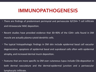 IMMUNOPATHOGENESIS
 There are findings of predominant perimysial and perivascular B/CD4+ T cell infiltrate
and intravascular MAC deposition.
 Recent studies have provided evidence that 30–90% of the CD4+ cells found in DM
muscle are actually plasma cytoid dendritic cells.
 The typical histopathologic findings in DM skin include epidermal basal cell vacuolar
degeneration, apoptosis of epidermal basal and suprabasal cells often with epidermal
atrophy, and increased dermal mucin deposition.
 Features that are more specific to DM over cutaneous lupus include C5b-deposition in
both dermal vasculature and the dermal-epidermal junction and a perivascular
lymphocytic infiltrate.
 