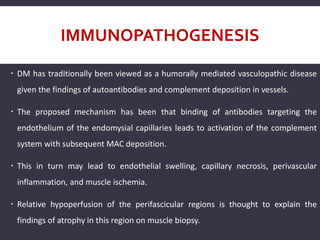 IMMUNOPATHOGENESIS
 DM has traditionally been viewed as a humorally mediated vasculopathic disease
given the findings of autoantibodies and complement deposition in vessels.
 The proposed mechanism has been that binding of antibodies targeting the
endothelium of the endomysial capillaries leads to activation of the complement
system with subsequent MAC deposition.
 This in turn may lead to endothelial swelling, capillary necrosis, perivascular
inflammation, and muscle ischemia.
 Relative hypoperfusion of the perifascicular regions is thought to explain the
findings of atrophy in this region on muscle biopsy.
 