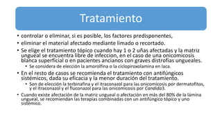 Tratamiento
• controlar o eliminar, si es posible, los factores predisponentes,
• eliminar el material afectado mediante limado o recortado.
• Se elige el tratamiento tópico cuando hay 1 o 2 uñas afectadas y la matriz
ungueal se encuentra libre de infeccion, en el caso de una onicomicosis
blanca superficial o en pacientes ancianos con graves distrofias ungueales.
• Se considera de elección la amorolfina o la ciclopiroxolamina en laca.
• En el resto de casos se recomienda el tratamiento con antifúngicos
sistémicos, dada su eficacia y la menor duración del tratamiento.
• Son de elección la terbinafina y el itraconazol para las onicomicosis por dermatofitos,
y el itraconazol y el fluconazol para las onicomicosis por Candida3.
• Cuando existe afectación de la matriz ungueal o afectación en más del 80% de la lámina
ungueal, se recomiendan las terapias combinadas con un antifúngico tópico y uno
sistémico.
 