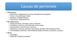 Causas de perionixis
• Infecciosas:
• Bacterianas: Staphylococcus aureus, Pseudomonas aeruginosa
• Víricas: virus del herpes simple
• Micóticas: Candida albicans
• Parasitarias: Tunga penetrans
• No infecciosas:
• Medicamentosas: retinoides orales, antivirales
• Cosméticas: manicura, dermatitis por resinas epoxi
• Ocupacionales: amas de casa, cocineros
• Dermatosis: eccemas, psoriasis, liquen plano, pénfigo, enfermedad de Darier
• Enfermedades sistémicas: enfermedad del tejido conectivo, sarcoidosis, vasculitis
• Otras:
• onicofagia,
• hábito de “chuparse los dedos”
 