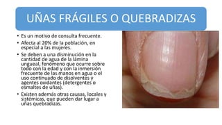 UÑAS FRÁGILES O QUEBRADIZAS
• Es un motivo de consulta frecuente.
• Afecta al 20% de la población, en
especial a las mujeres.
• Se deben a una disminución en la
cantidad de agua de la lámina
ungueal, fenómeno que ocurre sobre
todo con la edad y con la inmersión
frecuente de las manos en agua o el
uso continuado de disolventes y
agentes oxidantes (detergentes o
esmaltes de uñas).
• Existen además otras causas, locales y
sistémicas, que pueden dar lugar a
uñas quebradizas.
 