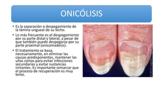 ONICÓLISIS
• Es la separación o despegamiento de
la lámina ungueal de su lecho.
• Lo más frecuente es el despegamiento
por su parte distal y lateral, a pesar de
que también puede despegarse por su
parte proximal (onicomadesis).
• El tratamiento se basa,
necesariamente, en eliminar las
causas predisponentes, mantener las
uñas cortas para evitar infecciones
secundarias y evitar sustancias
irritantes. Es importante remarcar que
el proceso de recuperación es muy
lento.
 