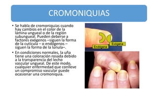 CROMONIQUIAS
• Se habla de cromoniquias cuando
hay cambios en el color de la
lámina ungueal o de la región
subungueal. Pueden deberse a
factores exógenos –siguen la forma
de la cutícula – o endógenos –
siguen la forma de la lúnula–.
• En condiciones normales, la uña
tiene una coloración rosada debido
a la transparencia del lecho
vascular ungueal. De este modo,
cualquier enfermedad que conlleve
un compromiso vascular puede
ocasionar una cromoniquia.
 