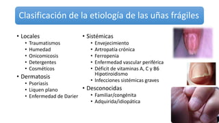 Clasificación de la etiología de las uñas frágiles
• Locales
• Traumatismos
• Humedad
• Onicomicosis
• Detergentes
• Cosméticos
• Dermatosis
• Psoriasis
• Liquen plano
• Enfermedad de Darier
• Sistémicas
• Envejecimiento
• Artropatía crónica
• Ferropenia
• Enfermedad vascular periférica
• Déficit de vitaminas A, C y B6
Hipotiroidismo
• Infecciones sistémicas graves
• Desconocidas
• Familiar/congénita
• Adquirida/idiopática
 