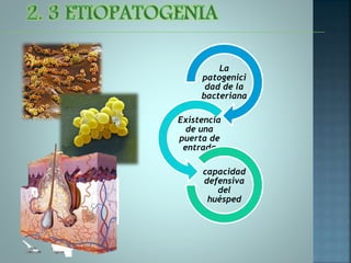 La
patogenici
dad de la
bacteriana
Existencia
de una
puerta de
entrada
capacidad
defensiva
del
huésped
 