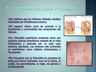 El aspecto clínico varía de acuerdo a la
localización y profundidad del compromiso del
folículo.
La Foliculitis superficial comienza como una
pequeña pústula amarillenta rodeada de un halo
eritematoso y centrada por un pelo cuyo
extremo sobresale. Las lesiones más profundas
se manifiestan como nódulos eritematosos y
fluctuantes.
Es frecuente que la Foliculitis se presente en
áreas que fueron afeitadas: zona de la barba, el
cuello, las extremidades, la ingle, los glúteos o
el área genital
Es habitual que los folículos dañados resulten
infectados por Estafilococos aureus.
 