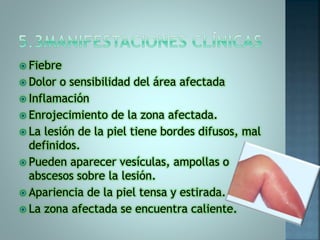  Fiebre
 Dolor o sensibilidad del área afectada
 Inflamación
 Enrojecimiento de la zona afectada.
 La lesión de la piel tiene bordes difusos, mal
definidos.
 Pueden aparecer vesículas, ampollas o
abscesos sobre la lesión.
 Apariencia de la piel tensa y estirada.
 La zona afectada se encuentra caliente.
 