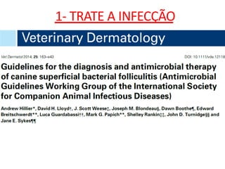 1- TRATE A INFECÇÃO
 