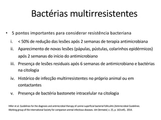 • 5 pontos importantes para considerar resistência bacteriana
i. < 50% de redução das lesões após 2 semanas de terapia antimicrobiana
ii. Aparecimento de novas lesões (pápulas, pústulas, colarinhos epidérmicos)
após 2 semanas do início do antimicrobiano
iii. Presença de lesões residuais após 6 semanas de antimicrobiano e bactérias
na citologia
iv. Histórico de infecção multirresistentes no próprio animal ou em
contactantes
v. Presença de bactéria bastonete intracelular na citologia
Hiller et al. Guidelinesfor thediagnosisandantimicrobial therapyof caninesuperficial bacterial folliculitis(Antimicrobial Guidelines
Workinggroupof theinternational Societyfor companionanimal infectiousdiseases. Vet Dermatol, v. 25, p. 163-e45, 2014.
Bactérias multirresistentes
 