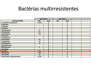 Bactérias multirresistentes
 