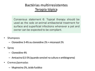 Bactérias multirresistentes
Terapia tópica
• Shampoos
– Clorexidine 3-4%ou clorexidine 2%+ miconazol 2%
• Spray
– Clorexidine 4%
– Amicacina 0,5-5%(quando sensível na cultura e antibiograma)
• Cremes/pomadas
– Mupirocina 2%, ácido fusídico
 