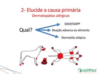 Qual?
2- Elucide a causa primária
Dermatopatias alérgicas
DASP/DAPP
Reação adversa ao alimento
Dermatite atópica
 