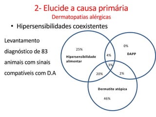 • Hipersensibilidades coexistentes
Hipersensibilidade
alimentar
Dermatite atópica
DAPP
25%
46%
0%
Levantamento
diagnóstico de 83
animais com sinais
compatíveis com D.A
4%
3%
2%20%
2- Elucide a causa primária
Dermatopatias alérgicas
 