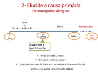 60dias0
dias
Dieta
+
Fármaco rápida ação
Dieta
Suspender o
medicamento
20-
30dias
2- Elucide a causa primária
Dermatopatias alérgicas
Reexposição
3-10
dias
ü Tempo de dieta: 2 meses
ü Dieta comercial ou caseira?
ü Único método capaz de diferenciar animais com hipersensibilidade
alimentar daqueles com dermatite atópica
 