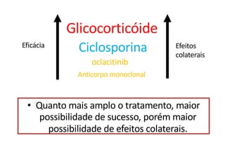 • Quanto mais amplo o tratamento, maior
possibilidade de sucesso, porém maior
possibilidade de efeitos colaterais.
Glicocorticóide
Ciclosporina
oclacitinib
Anticorpo monoclonal
Eficácia Efeitos
colaterais
 