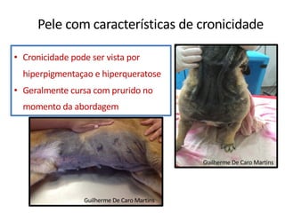 • Cronicidade pode ser vista por
hiperpigmentaçao e hiperqueratose
• Geralmente cursa com prurido no
momento da abordagem
Guilherme De Caro Martins
Guilherme De Caro Martins
Pele com características de cronicidade
 