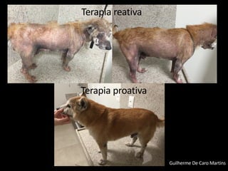 Guilherme De Caro Martins
Terapia reativa
Terapia proativa
 