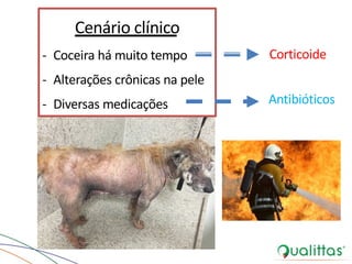 Cenário clínico
- Coceira há muito tempo
- Alterações crônicas na pele
- Diversas medicações
Corticoide
Antibióticos
 