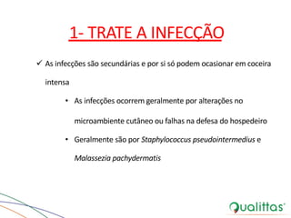 1- TRATE A INFECÇÃO
ü As infecções são secundárias e por si só podem ocasionar em coceira
intensa
• As infecções ocorrem geralmente por alterações no
microambiente cutâneo ou falhas na defesa do hospedeiro
• Geralmente são por Staphylococcus pseudointermedius e
Malassezia pachydermatis
 