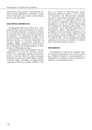 Dermatopatología correlación clínico patológica | PDF