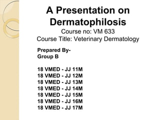 A Presentation on
Dermatophilosis
Course no: VM 633
Course Title: Veterinary Dermatology
Prepared By-
Group B
18 VMED - JJ 11M
18 VMED - JJ 12M
18 VMED - JJ 13M
18 VMED - JJ 14M
18 VMED - JJ 15M
18 VMED - JJ 16M
18 VMED - JJ 17M
 