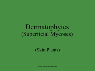 Dermatophytes (Superficial Mycoses) (Skin Plants) www.freelivedoctor.com 