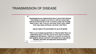 TRANSMISSION OF DISEASE
 