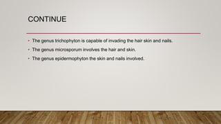 CONTINUE
• The genus trichophyton is capable of invading the hair skin and nails.
• The genus microsporum involves the hair and skin.
• The genus epidermophyton the skin and nails involved.
 