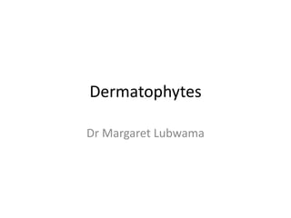 Dermatophytes
Dr Margaret Lubwama
 