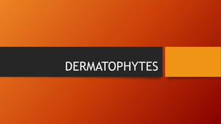 Dermatophytes .pptx