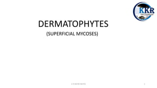 DERMATOPHYTES
(SUPERFICIAL MYCOSES)
K R MICRO NOTES 1
 