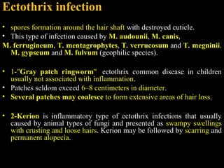 dermatophytosis .ppt