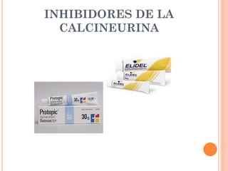 INHIBIDORES DE LA
CALCINEURINA
 ESTUDIOS COMPARATIVOS TACROLIMUS VS
PIMECROLIMUS
 1800 Adultos, eficacia y tolerancia du...