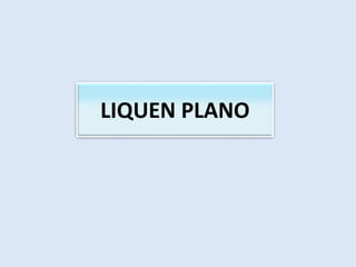 LIQUEN PLANO
 