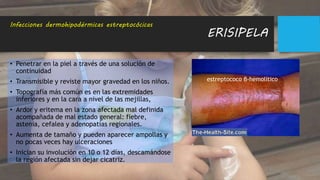 ERISIPELA
Infecciones dermohipodérmicas estreptocócicas
estreptococo β-hemolítico
• Penetrar en la piel a través de una solución de
continuidad
• Transmisible y reviste mayor gravedad en los niños.
• Topografía más común es en las extremidades
inferiores y en la cara a nivel de las mejillas,
• Ardor y eritema en la zona afectada mal definida
acompañada de mal estado general: fiebre,
astenia, cefalea y adenopatías regionales.
• Aumenta de tamaño y pueden aparecer ampollas y
no pocas veces hay ulceraciones
• Inician su involución en 10 o 12 días, descamándose
la región afectada sin dejar cicatriz.
 