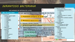 Dermatología pediátrica. WILLIAM L. WESTON, MD. Cuarta edición
Saúl. Lecciones de Dermatología. 16 edición
DERMATOSIS BACTERIANA
 Las infecciones de la piel por agentes bacterianos depende de tres factores:
MECANISMOS DE DEFENSA DE LA PIEL
1. Propiedades patógenas de las bacterias
2. Resistencia natural de la piel
3. Capacidad de defensa del organismo frente a la invasión bacteriana.
 Capacidad invasiva ( colonización, proliferación e invasión)
 Adhesinas microbianas (moléculas que se unen a glucoproteínas y
gangliósidos
 La capacidad de escapar a la fagocitosis (proteína M)
 Estrato córneo intacto
 pH de la superficie cutánea
 Grado de humedad
 Manto lipídico
 Sistema inmune (La inmunidad humoral se evidencia con
producción de IgA e IgG a través del sistema y la inmunidad celular,
con la participación de los lin- focitos T, células de Langerhans y
producción de diversas citoquinas)
 Microorganismos que viven regularmente en forma inofensiva
como comensales en la superficie cutánea y en los folículos
- FLORA RESIDENTE
- FLORA TRANSITORIA
 