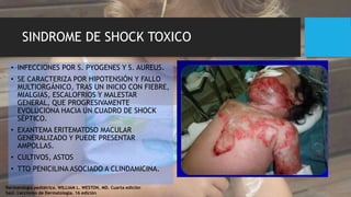 SINDROME DE SHOCK TOXICO
• INFECCIONES POR S. PYOGENES Y S. AUREUS.
• SE CARACTERIZA POR HIPOTENSIÓN Y FALLO
MULTIORGÁNICO, TRAS UN INICIO CON FIEBRE,
MIALGIAS, ESCALOFRIOS Y MALESTAR
GENERAL, QUE PROGRESIVAMENTE
EVOLUCIONA HACIA UN CUADRO DE SHOCK
SÉPTICO.
• EXANTEMA ERITEMATOSO MACULAR
GENERALIZADO Y PUEDE PRESENTAR
AMPOLLAS.
• CULTIVOS, ASTOS
• TTO PENICILINA ASOCIADO A CLINDAMICINA.
Dermatología pediátrica. WILLIAM L. WESTON, MD. Cuarta edición
Saúl. Lecciones de Dermatología. 16 edición
 