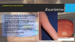 Escarlatina
- Puerta de entrada de los estreptococos puede
ser la faringe o una herida cutánea.
- El exantema aparece a las 24-48 h
- Pápulas y máculas eritematosas, que
comienzan en el cuello y se extienden por el
tronco abajo hacia las extremidades
- Es característico que no haya afectación de
las palmas ni de las plantas
- La afectación de la lengua (una lengua seca
con papilas rojas e hipertrofiadas) lengua
aframbuesada
- Linfoadenopatía generalizada
DERMATOSIS BACTERIANA
2 y 10 años de edad
 